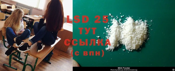 стаф Алзамай
