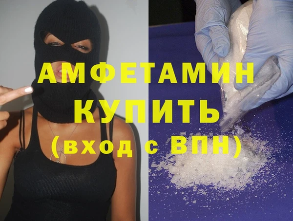 стаф Алзамай