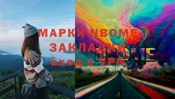 стаф Алзамай