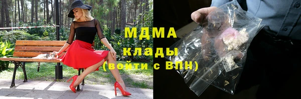 стаф Алзамай