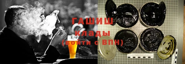 стаф Алзамай